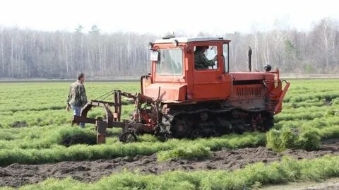 Ульяновская область трактора