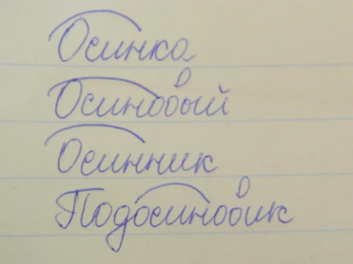 Осина родственные слова. Среди данных слов только родственные слова осина. Найди среди данных слов только родственные слову осина. Найди среди данных слов только родственные слову осёл.