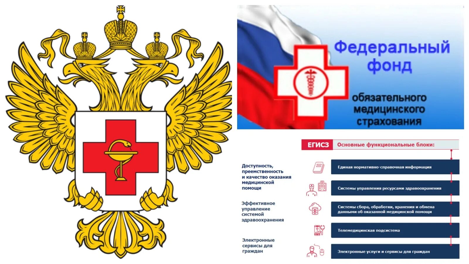 Фонд обязательного медицинского страхования РФ ФОМС. Федеральный фонд обязательного медицинского страхования логотип. Герб федерального фонда обязательного медицинского страхования. Фонд медецинского страхования.