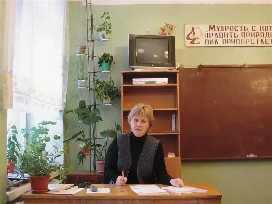 Муниципальная средняя общеобразовательная школа 7. Шенкурская школа учителя. учителя 3 гимназии по биологии. учитель по биологии в алабинской школе. ачитская школа учитель биологии.