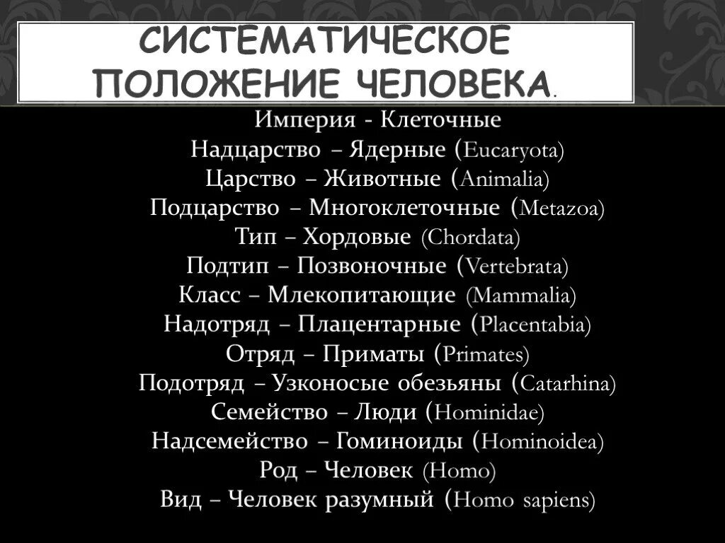 Положение на латыни. Систематическое положение человека. Систематическое положение человека на латыни. Классификация человека на латыни. Систематика человека на латинском.