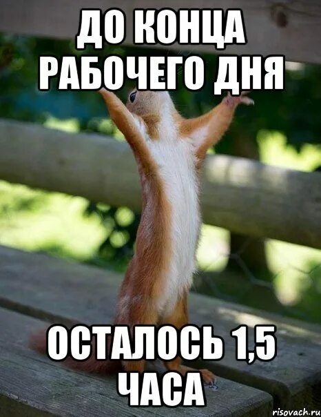 Держись немного осталось