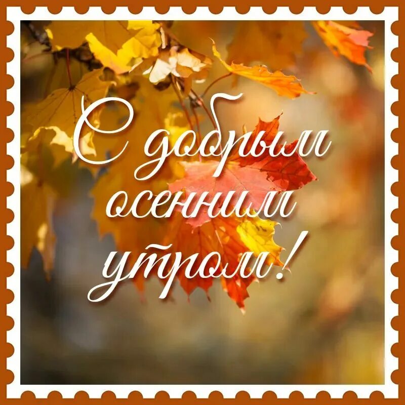 С добрым утром картинки осенние новые природа. С добрым осенним утром. открытки с добрым утром осенние. с добрым утром осенним с пожеланиями. открытки с осенним утром.