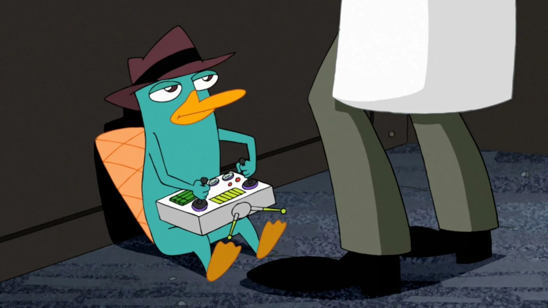 Перри утконос на английском. Перри-утконос. perry the platypus. перри утконос фото. перри утконос и фуфелшмерц.