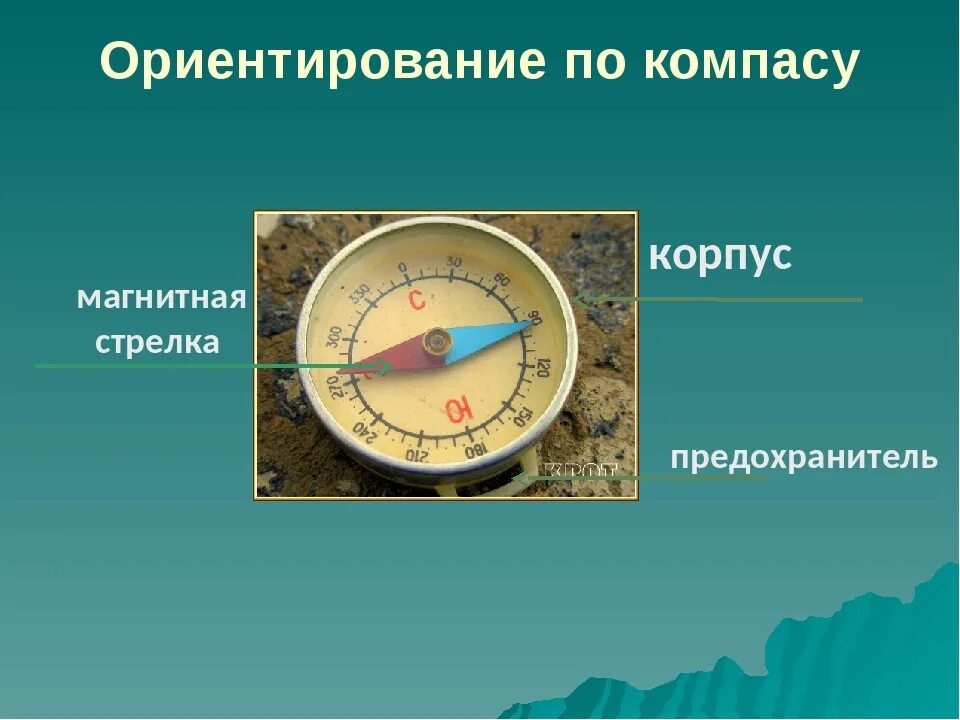 Ориентированиемпо компасу. Ориентирование на местности по компасу. Ориентирование на местности компас. Ориентирование в лесу по компасу.