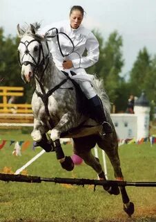 Спортсмен на коне
