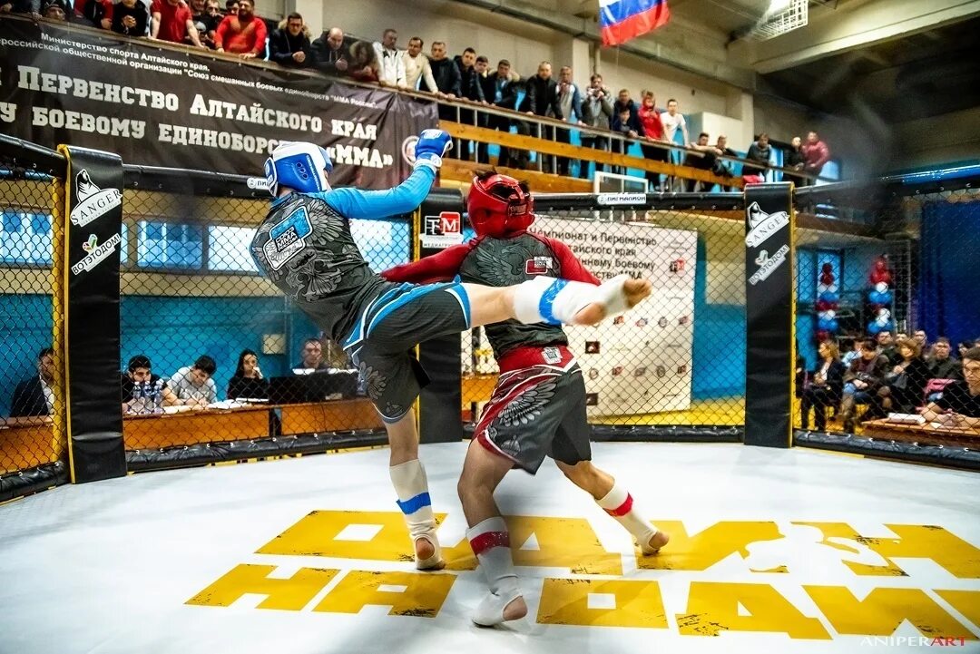 Залы смешанных единоборств. Инвентарь для смешанных единоборств. Спортивный зал единоборств. Клуб единоборств и кроссфита evolve. Зал единоборств.