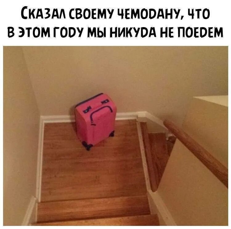 Ни куда не ездила