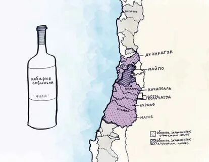 Винодельческие регионы чили