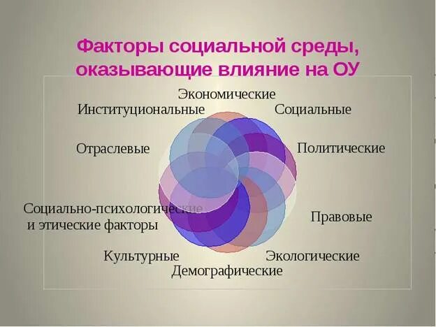 Реакция социального окружения. Факторы социальной среды организации. Факторы влияющие на социальную среду организации. Факторы социального развития организации. Компоненты социальной среды организации.