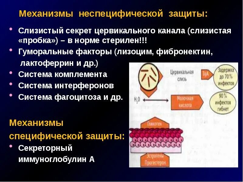 Фактор защиты слизистых оболочек. Неспецифические защитные механизмы. Неспецифические факторы защиты. Неспецифические и специфические защитные механизмы. Гуморальные факторы неспецифической защиты.