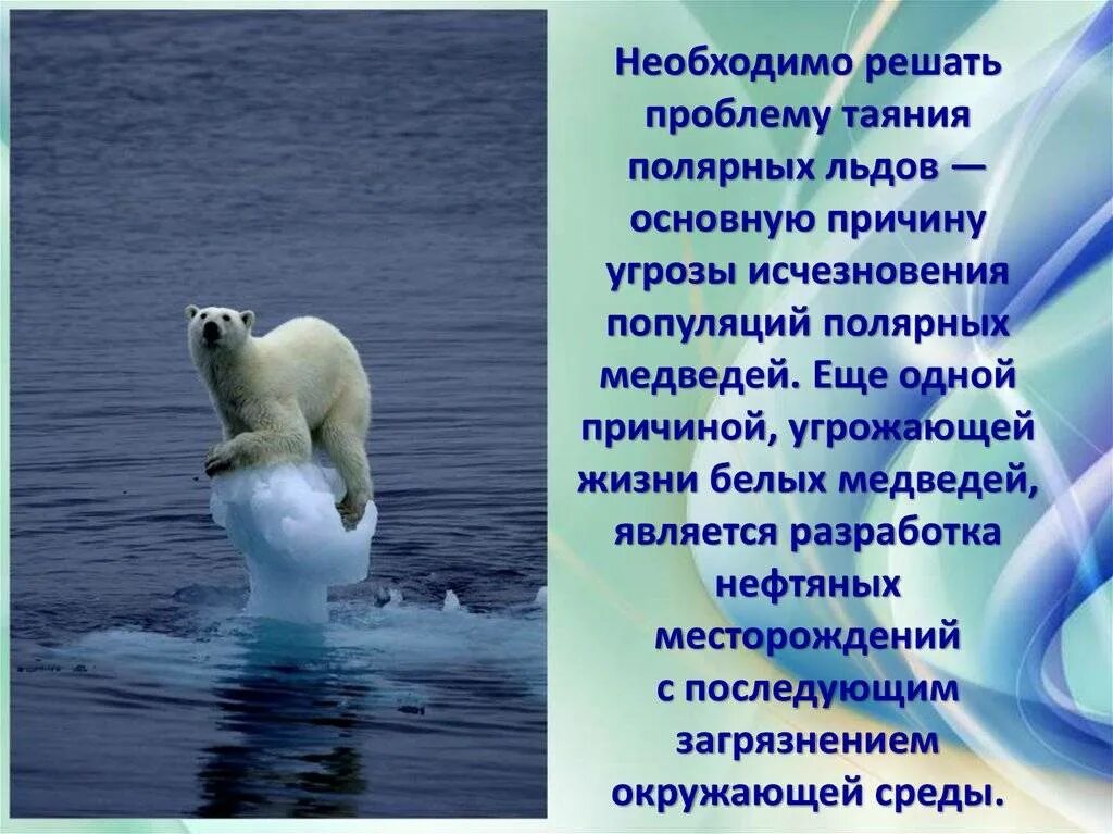 Почему не грозит. Международный день белого медведя. 27 Февраля Международный день белого медведя. 27 Февраля белый медведь. Международный день полярного медведя.