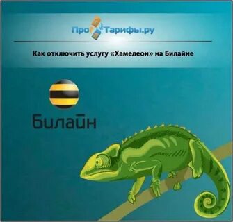 Хамелеон билайн