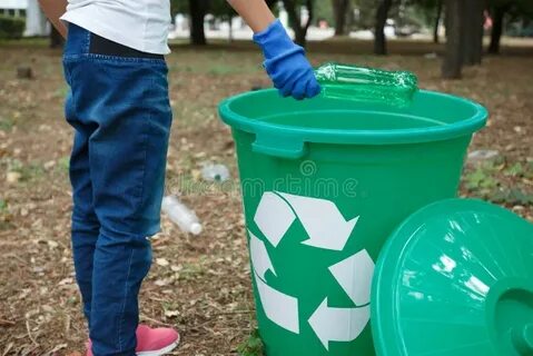 Plant flowers recycle cans collect