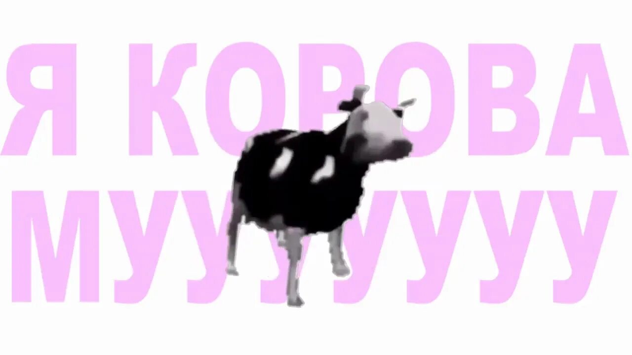 Танцуй 10 часов. Корова танцует 10 часов. Корова танцует под польскую музыку 100 часов. Детская песня танцуют коровы.