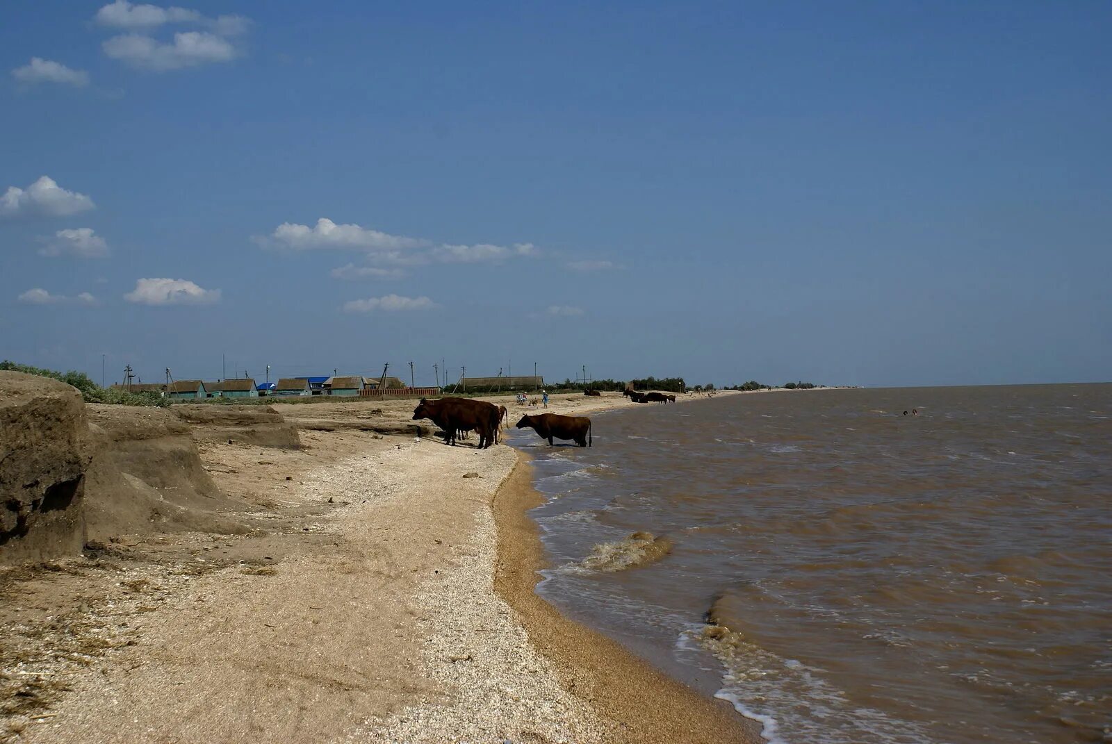 Камышеватская Краснодарский край. Коса Камышеватская Азовское море. Станица Камышеватская. Камышеватская коса Краснодарский край. Станица камышеватская краснодарский край