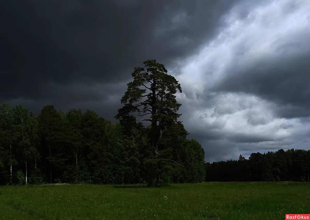 приближение грозы. природа после грозы. тучи перед грозой. небо перед дождем. небо перед дождем весной.