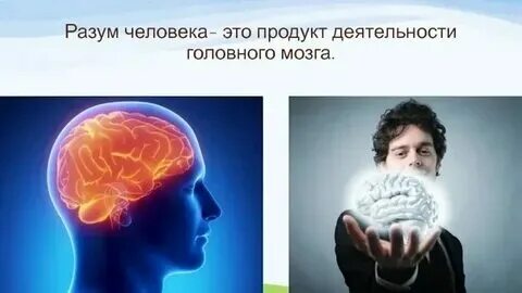 Что дает человеку разум