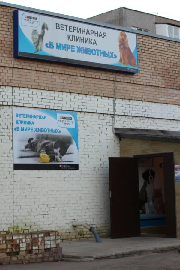 ветеринарная подольск. медея вет подольск. ветеринарная подольск. ветеринарная клиника подольск. клиника юнавет ветеринарная.