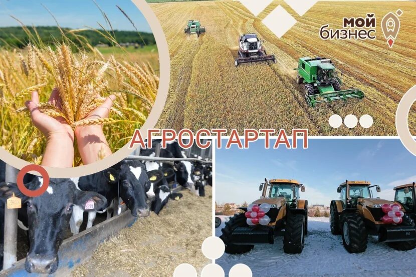 Гранд агростартап. Гранты сельское хозяйство. Агростартап. Поддержка сельского хозяйства. Грант агростартап