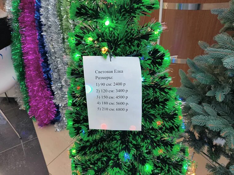 Выход елок