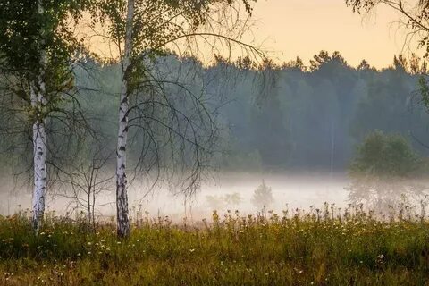 В лёгкой дымке тумана. 