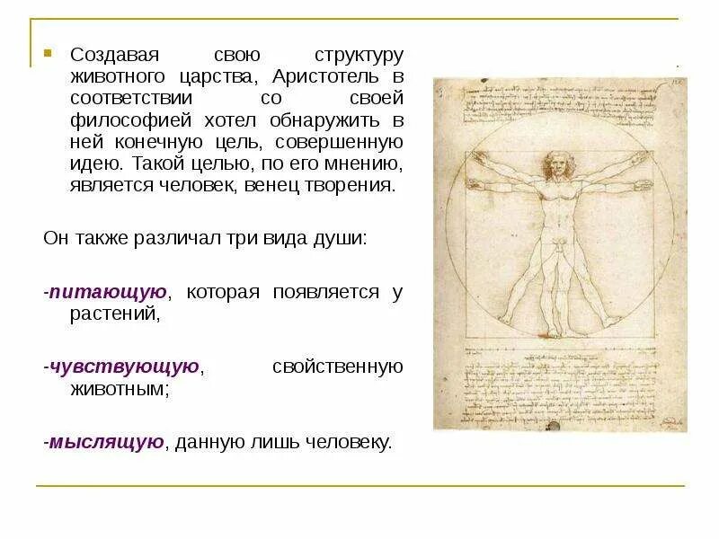 Чем по их мнению является