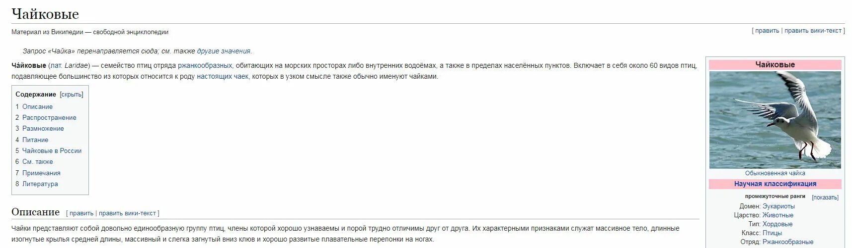 Я вижу чайку признаки. Как видит Чайка. Программа летают Чайки на купюрах. Что видит Чайка. Все постоянные признаки слова чайку в приложении я вижу чайку.