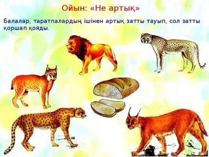 Есіңе алып тұрасың ба