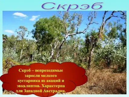 Что такое скрэб