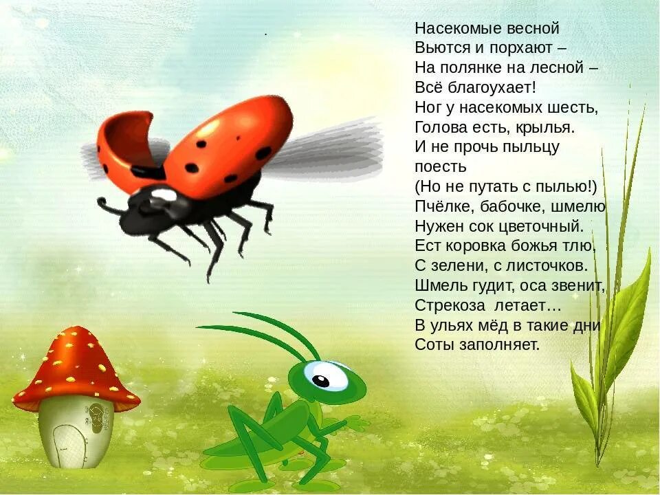 Аудиосказка про насекомых. Стихи про насекомых. загадки про насекомых для детей. стихи про насекомых для детей. стихи для малышей про насекомых.