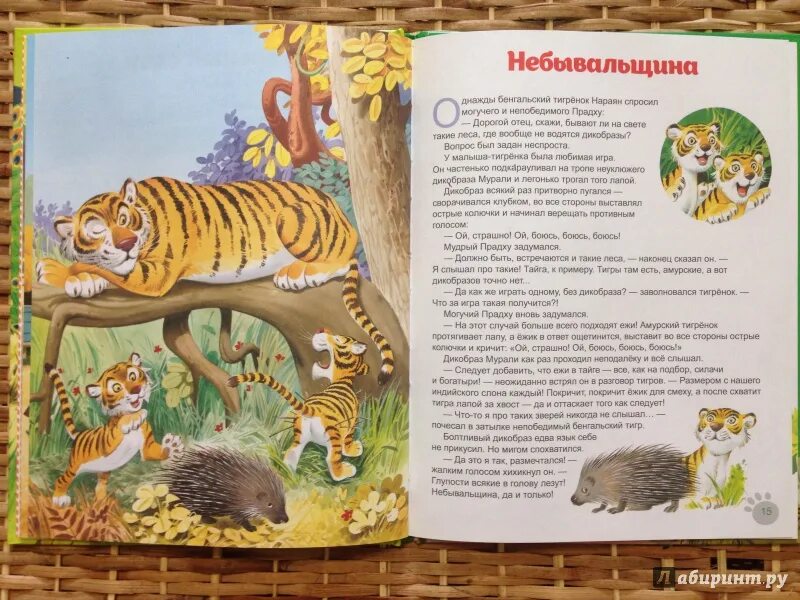 Георгиев с. Георгиев сказки об удивительных животных. Иллюстрации животных в книгах. Сказки 2010. Георгиев сказки австралии.