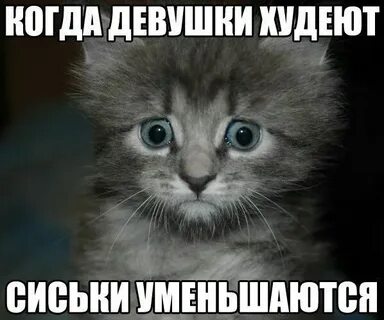 Хочу 21