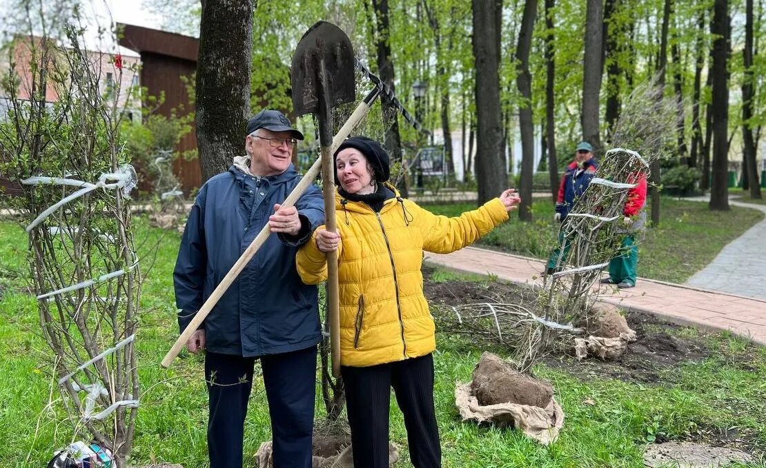 Бабушкинский парк. Акция сирень Победы. Высаживание деревьев в Москве фото. Медведи в Бабушкинском парке. Бабушкинский вк