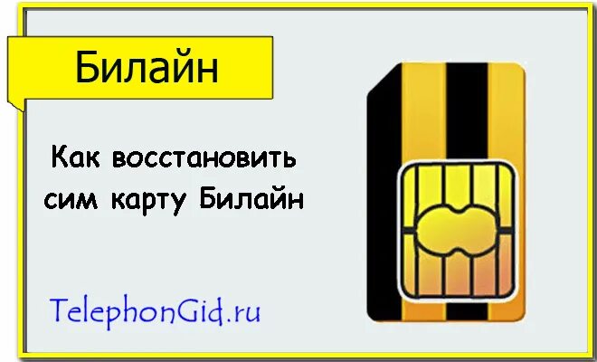 Сим возвращаю. Сим карта Билайн. Как восстановить сим карту. Как вастанавитьсимкарту. Потеря сим карты Билайн.