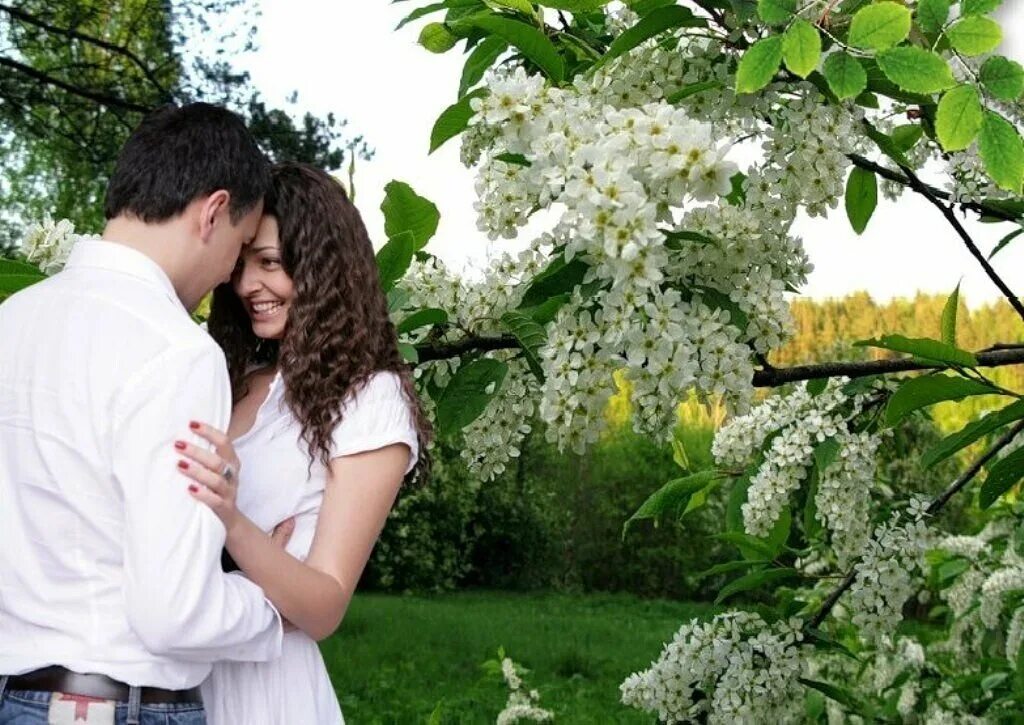 Пара яблонь. Пара в весеннем саду. Влюбленные весной. Влюбленные в весеннем саду.