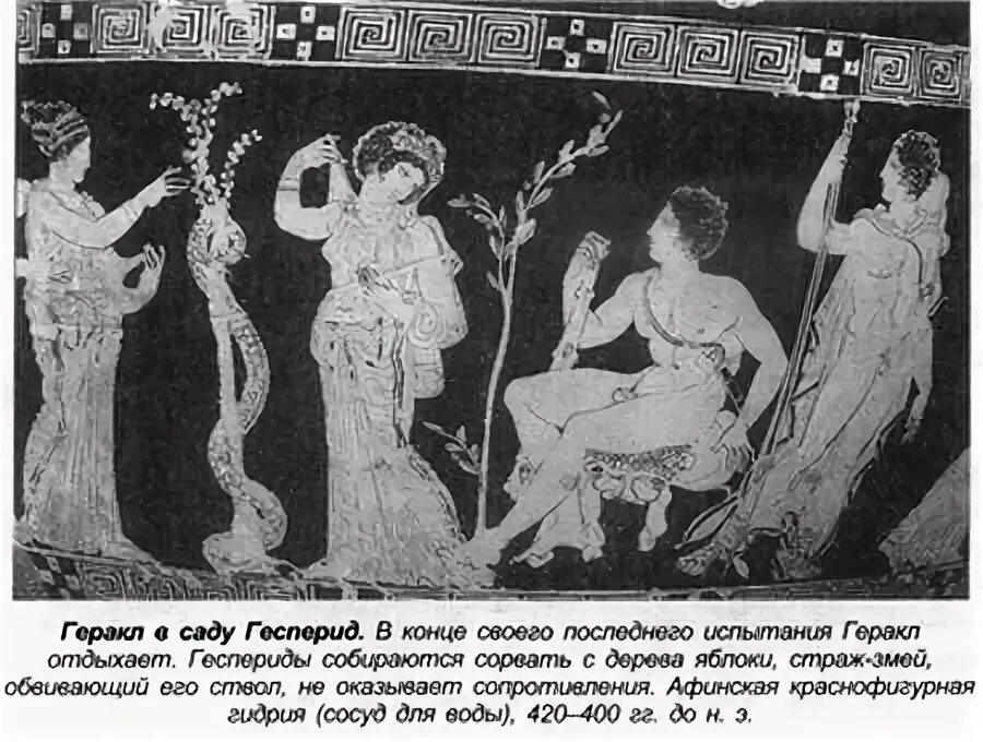 Подвиг геракла яблоки гесперид рассказ. Сад гесперид мифология. геракл и яблоки гесперид вазопись. мифы древней греции нерей. нерей бог древней греции.