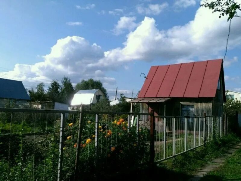 Дача в садоводстве медик бийск. Садоводства медик. Садоводство медик новоалтайск. Дача в садоводстве медик бийск. Садоводства медик.