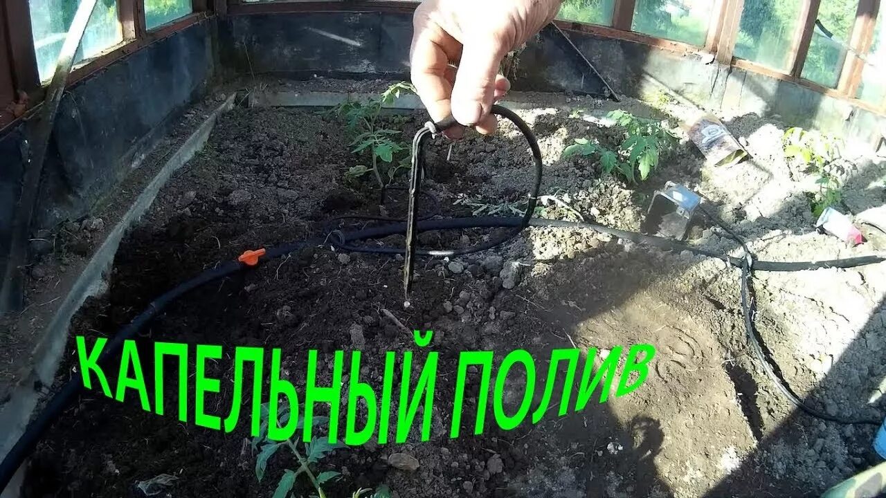 Как установить капельный полив в теплице жук. Капельный полив жук. как настроить капельный полив жук. полив жук на высоких грядках как провести.