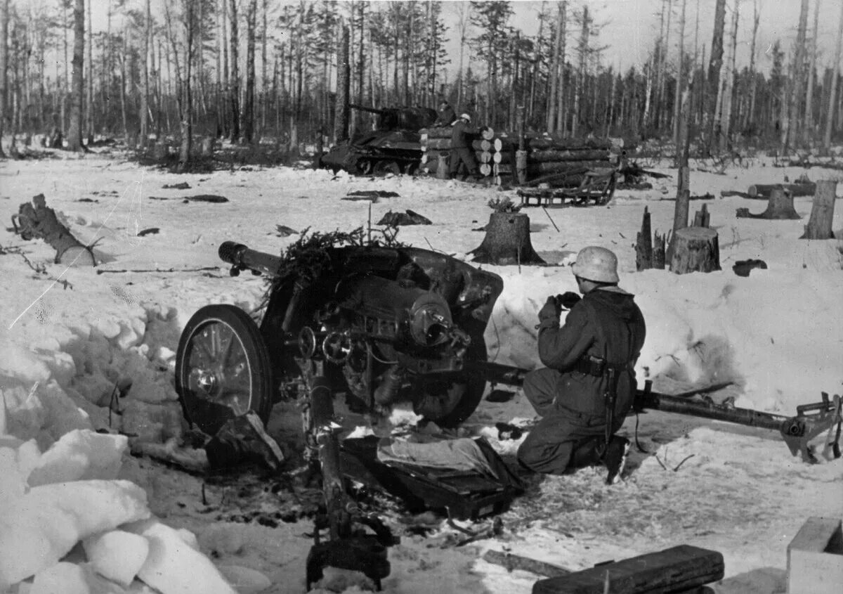 Немецкие солдаты под Ленинградом 1941. Немцы под Ленинградом зимой 1941. 1944 Narva.