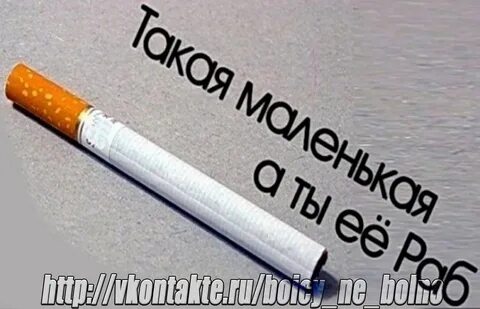 Не знал что ты ты куришь