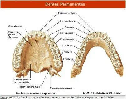Үйдегі екі еселенген порно