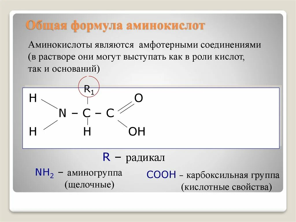 Амины являются соединениями. Общая структурная формула аминокислоты. Общая формула аминокислоты в химии. Общая формула аминокислот. Общая формула α-аминокислоты.