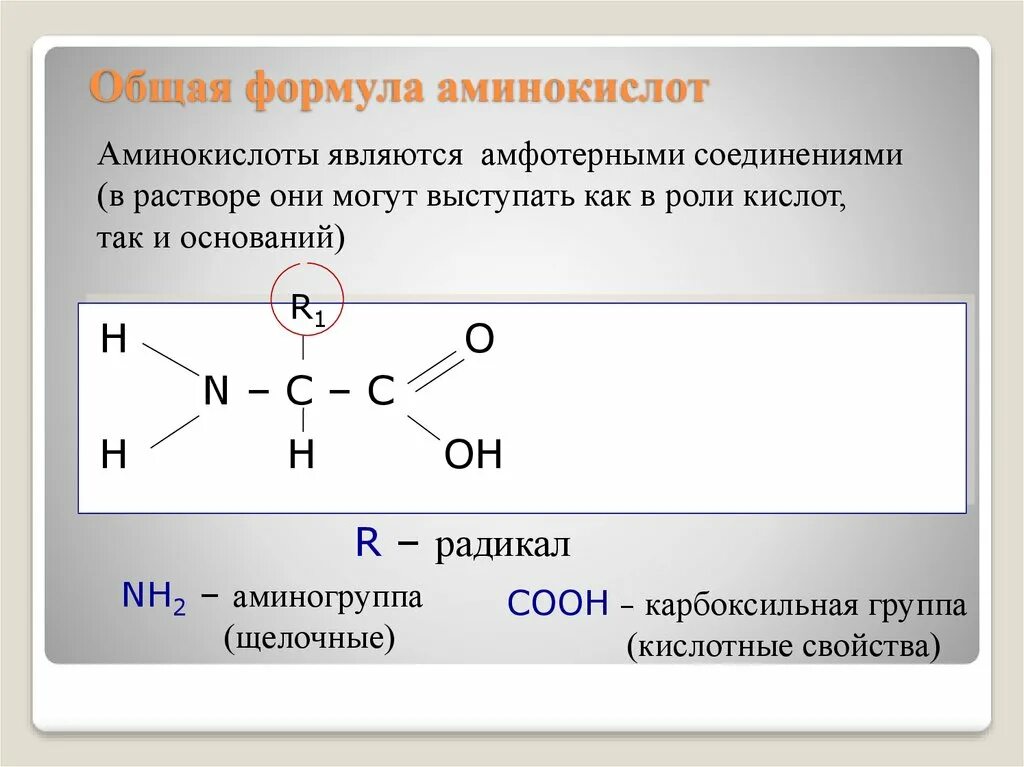 Амины являются соединениями