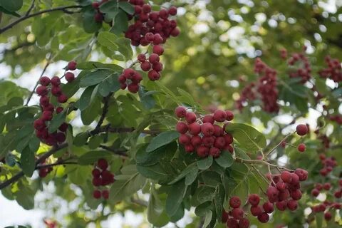 Гранатная севастополь