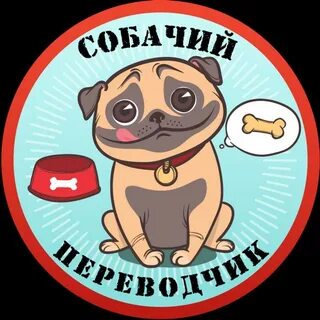 Переводчик на собачий