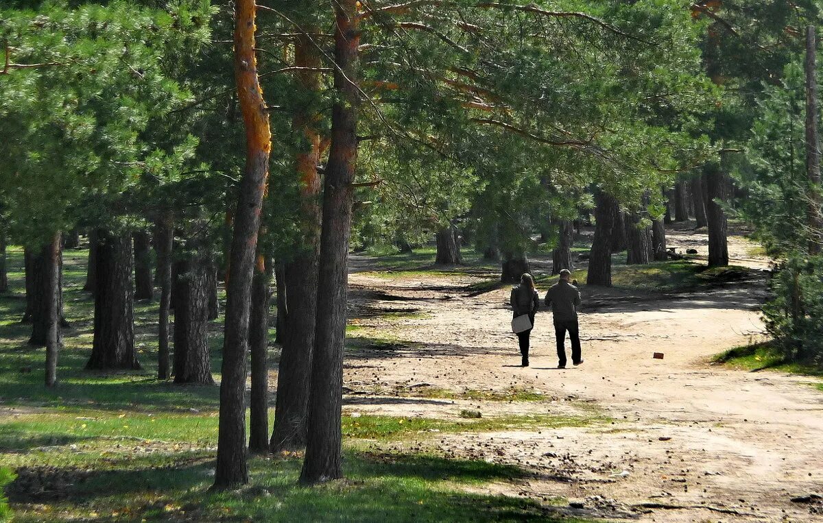 Сайт загородного парка