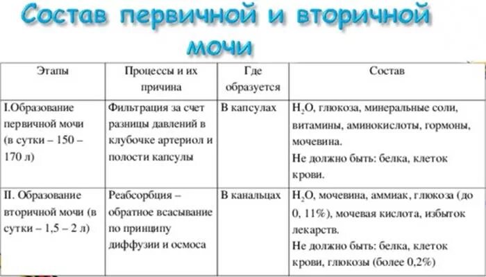 Сколько образуется вторичной мочи. Состав первичной и вторичной мочи. Состав и количество первичной и вторичной мочи. Состав и объем первичной и вторичной мочи. Состав первичной мочи и вторичной мочи.