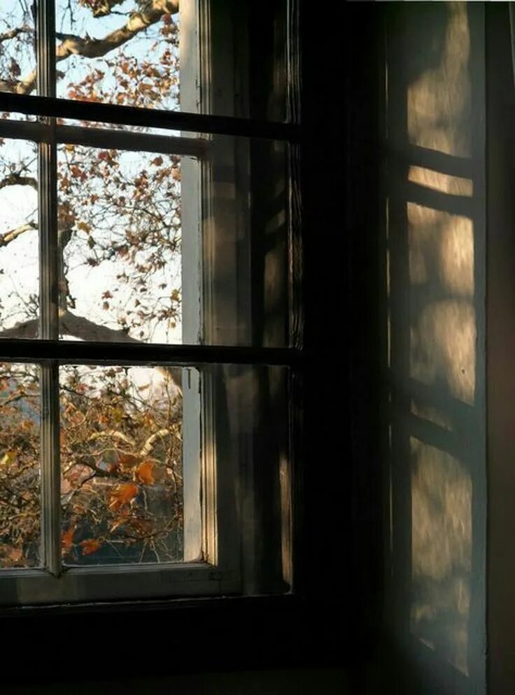 LC08 Through the window, Windows, Window view