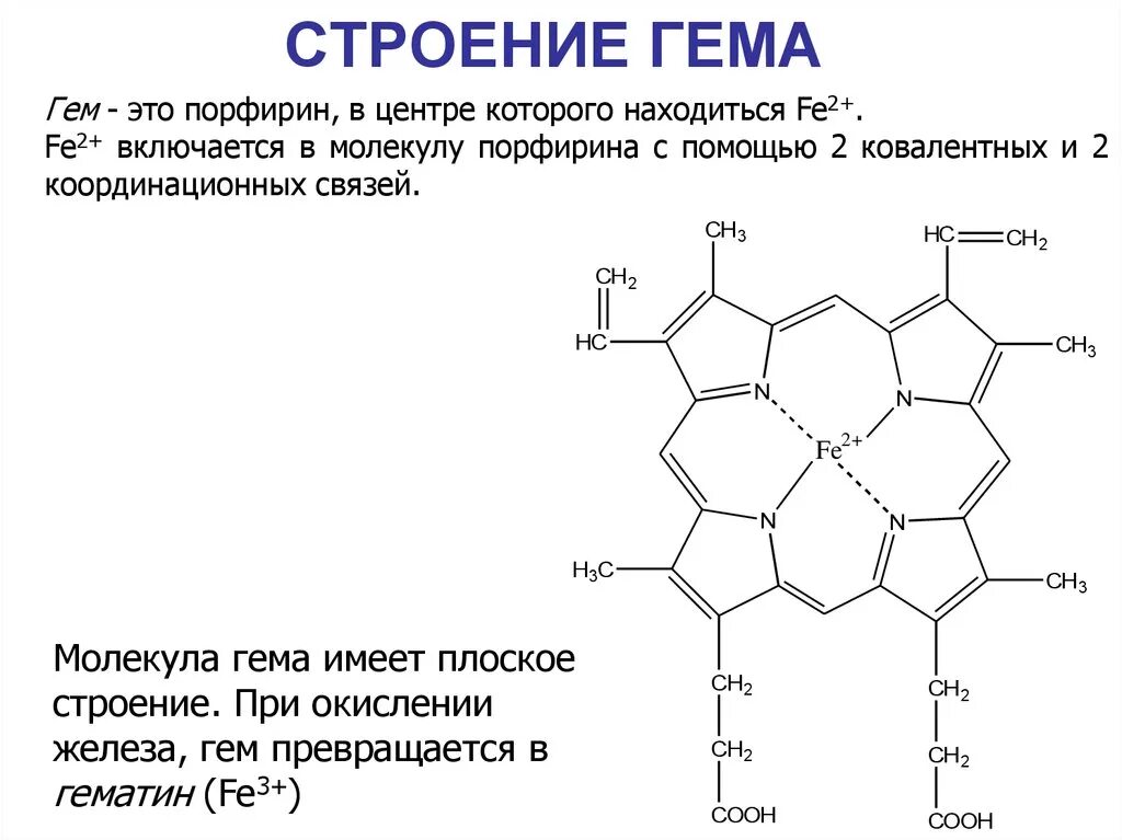 Гем биохимия. Гемоглобин гем биохимия строение. Структура гема биохимия. Строение гема гемоглобина биохимия. Гемоглобин строение и структура гема.